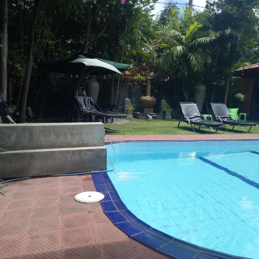 Palms * Negombo
