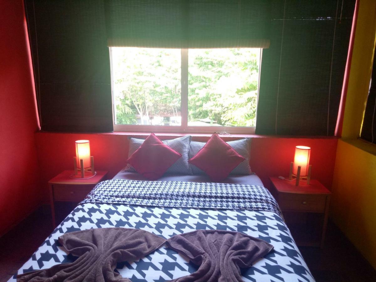 Palms Negombo